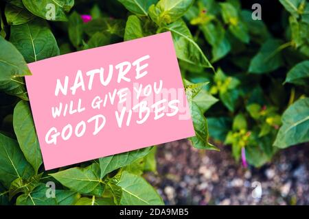 La nature vous donnera de bonnes citations de vibes écrites sur papier sur jardin vert et fond de feuilles. Message de motivation motivant pour l'orientation avec na Banque D'Images