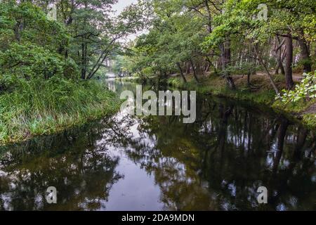 Rivière Piasnica village Debki dans le district administratif de Gmina Krokowa, dans le comté de Puck, Voivodeship de Poméranie, nord de la Pologne Banque D'Images