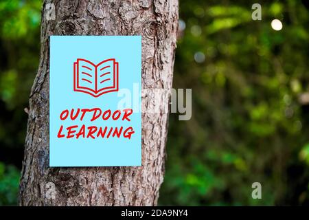Enseigne d'apprentissage en plein air avec une flèche écrite sur du papier monté sur un arbre dans la forêt. Éducation en plein air. Banque D'Images