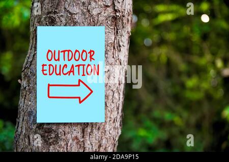 Panneau d'éducation de plein air avec une flèche écrite sur le papier monté sur un arbre dans la forêt. Éducation en plein air. Banque D'Images