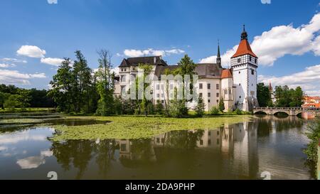 Vue sur l'étang jusqu'au château de Blatna Banque D'Images