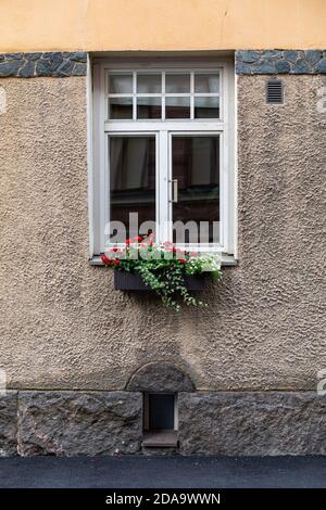 Fleurs sur un rebord de fenêtre dans le quartier paisible de Kruununhaka à Helsinki, en Finlande Banque D'Images