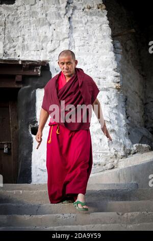 Un moine descend les marches du monastère de Thiksey à Ladakh. Banque D'Images