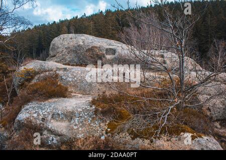 Treppenstein à Okertal. Falaises rocheuses près de Goslar dans le parc national des montagnes Harz, Allemagne Banque D'Images