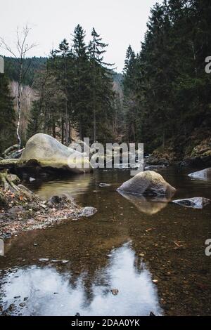 Rivière Oker qui coule dans la vallée de l'Okertal. Paysages sauvages près de la célèbre île engagement (Verlobulungsinsel) au parc national des montagnes Harz, Germa Banque D'Images