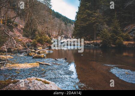 Rivière Oker qui coule dans la vallée de l'Okertal. Paysages sauvages près de la célèbre île engagement (Verlobulungsinsel) au parc national des montagnes Harz, Germa Banque D'Images