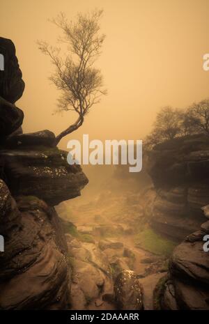 Brimham Rocks dans le Mist, North Yorkshire Banque D'Images