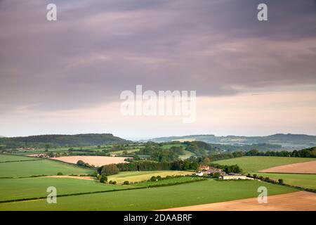 Terres agricoles près du village de Swallowcliffe dans le Wiltshire, vue de Swallowcliffe en bas. Banque D'Images