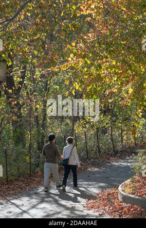 Un couple sur une promenade d'exercice parmi les couleurs de l'automne. À Kissena Park, Flushing, New York. Banque D'Images