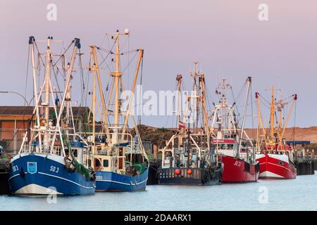 Géographie / voyage, Allemagne, Schleswig-Holstein, Buesum, crevettes au port, Buesum, Dithmarschen, droits-supplémentaires-décharge-Info-non-disponible Banque D'Images