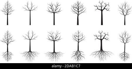 Arbres noirs avec racines et feuilles. Illustration vectorielle. Collection d'icônes. Illustration de Vecteur