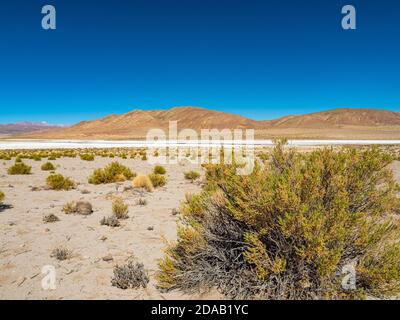 Paysage sur Lipez en Bolivie.la province de Sud Lípez est l'une des 16 provinces du département de Potosí, en Bolivie Banque D'Images