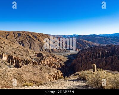 Paysage sur Lipez en Bolivie.la province de Sud Lípez est l'une des 16 provinces du département de Potosí, en Bolivie Banque D'Images