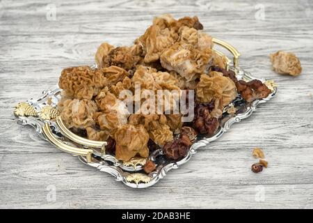 Gyromitra gigas, communément appelé morel de neige, fausse morel de neige, cerveau de veau, ou nez de taureau, un champignon sauvage comestible sur un plateau Banque D'Images