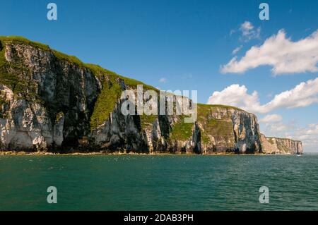 Les spectaculaires falaises de craie avec leurs colonies d'oiseaux de mer vus de la mer à RSPB Bempton Cliffs, East Yorkshire. Juin. Banque D'Images