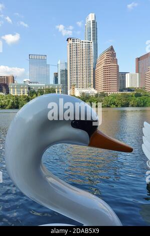 AUSTIN, TX -18 SEP 2020- vue des bateaux à pédales de cygne sur le lac Lady Bird dans le centre-ville d'Austin, Texas, États-Unis. Banque D'Images