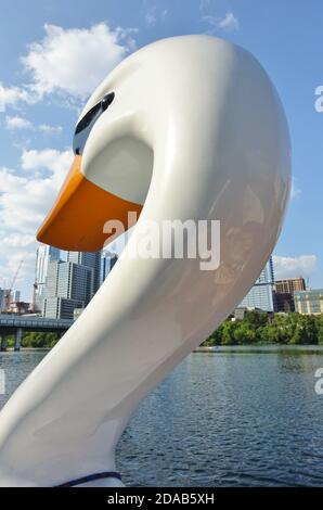 AUSTIN, TX -18 SEP 2020- vue des bateaux à pédales de cygne sur le lac Lady Bird dans le centre-ville d'Austin, Texas, États-Unis. Banque D'Images