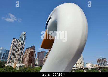 AUSTIN, TX -18 SEP 2020- vue des bateaux à pédales de cygne sur le lac Lady Bird dans le centre-ville d'Austin, Texas, États-Unis. Banque D'Images