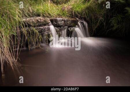 Petite cascade sur la colline pendle, Lancashire. Eau douce qui coule parmi les feuilles de fougères Banque D'Images