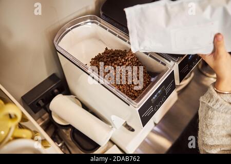 Le barista remplit la trémie à grains de la machine à espresso moderne Banque D'Images