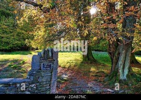 Sunburst à travers l'arbre dans les couleurs de l'automne et signe à Ilkley Sur le sentier de Dalesway dans le district du lac anglais près de Bowness-on-Windermere Banque D'Images