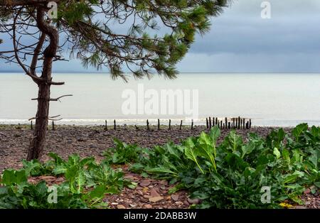 La plage paisible de Dunster Beach pendant une tempête de pluie Banque D'Images