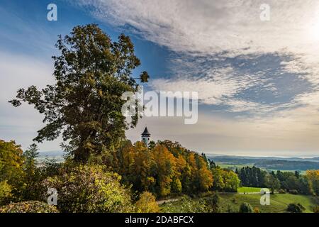 Fantastique randonnée d'automne le long de l'Aachtobel jusqu'à l'observation Hohenbodman tour près du lac de Constance Banque D'Images