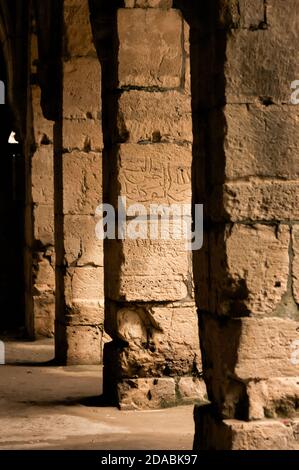 CRAC de chevalier Syrie 2009 colonnes intérieures une des Châteaux de Crusader Banque D'Images