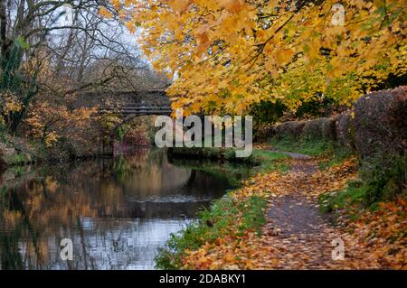 Autour du Royaume-Uni - automne sur le canal de Leeds à Liverpool à Wheelton, près de Chorley, Lancashire, Royaume-Uni Banque D'Images