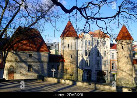 La porte Viru à Tallinn, Estonie Banque D'Images