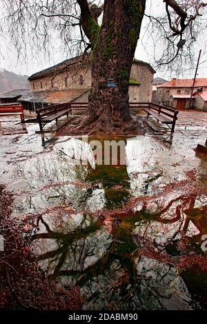 Partie de la place principale dans Gannadio village, l'un des 'Stone' dans les villages de la préfecture de Ioannina, l'Épire, Grèce Banque D'Images