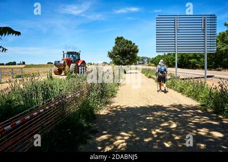 Pèlerin marche le long du chemin entre la route N-120 et un champ de ferme. French Way, Way of St. James. Près de Sahagun, León, Castille et Leon, Espagne, Europ Banque D'Images