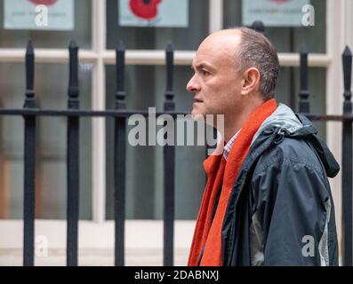 Londres, Royaume-Uni. 11 novembre 2020. Dominic Cummings dans Downing Street Londres crédit: Ian Davidson/Alay Live News Banque D'Images