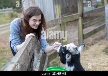 Jolie jeune fille souriant et pétant de chèvre dans le cadre de la ferme Banque D'Images