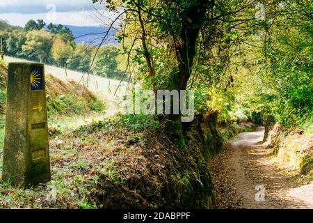 Le chemin entre les forêts galiciennes, à la périphérie de Triacastela. Triacastela, Lugo, Galice, Espagne, Europe Banque D'Images