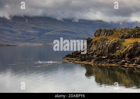 Paysage des fjords de l'est en Islande, en Europe Banque D'Images