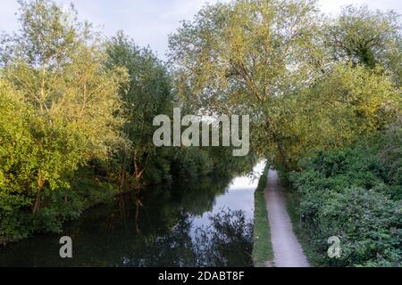 Vue sur le canal et le chemin de halage sur la rivière lea navigation en été, entouré par de beaux arbres Banque D'Images