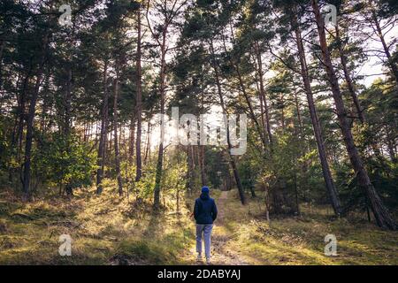 Chemin dans la forêt près de Katy Rybackie sur Vistule Spit, une étendue de terre sépare la baie de Gdansk dans la mer Baltique et la lagune de Vistule en Pologne Banque D'Images