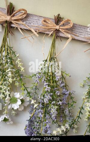 Divers bouquet lumineux de fleurs séchées accrochées à la corde sur fond de bois, faisant des fleurs séchées décoration moderne pour l'intérieur de la maison Banque D'Images