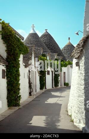 Rue avec des bâtiments blancs uniques avec un toit conique appelé 'Trulli' dans la petite ville d'Alberobello et commune de la ville métropolitaine de Bari, Apulia Banque D'Images