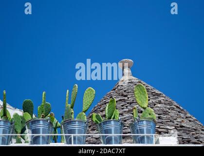 Cactus poussant dans des seaux en fer sur le toit de la maison 'Trulli' dans la petite ville d'Alberobello et comune de la ville métropolitaine de Bari, Puglia Banque D'Images