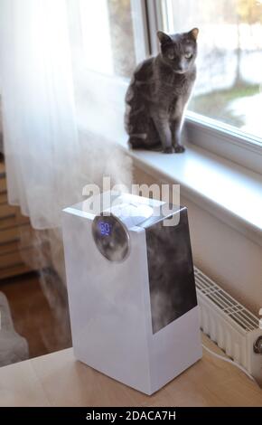 Humidificateur d'air ultrasonique avec vapeur sur la table près de la fenêtre et radiateur de chauffage dans le salon ou la chambre. Banque D'Images