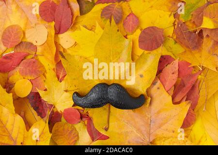 Bonjour octobre. L'automne, posez à plat avec des feuilles et de la moustache. Banque D'Images