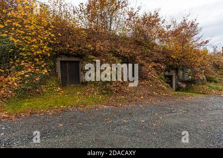 Stockage de Zoigl-Beer dans une cave à coupe rocheuse à Falkenberg, en Allemagne Banque D'Images