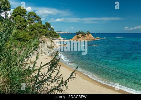 PLAGE CALA BELLADONA PLATJA D’ARO COSTA BRAVA CATALOGNE ESPAGNE Banque D'Images