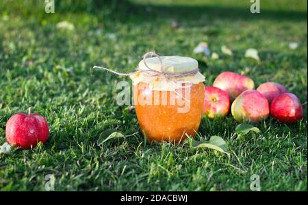 Pot en verre avec confiture de pomme sur l'herbe parmi rouge et des pommes jaunes dans le jardin Banque D'Images