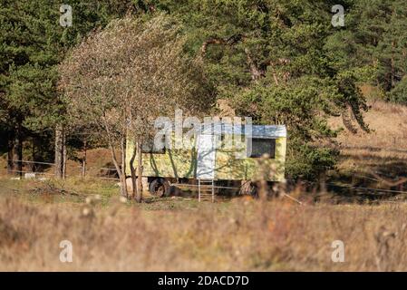 Il y a longtemps abandonné remorque vert jaune chaud soleil jour automne couleurs vives près du ranch en bulgarie Banque D'Images