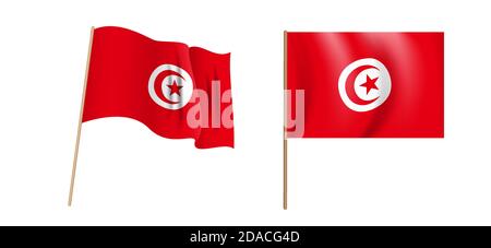 Haut en couleur, la République tunisienne naturaliste agite le drapeau. Illustration vectorielle Illustration de Vecteur