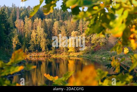 Magnifique paysage d'automne sur la rivière Gauja avec un feuillage coloré et lumineux le jour d'automne ensoleillé. Banque D'Images