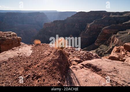 Belle matinée au Grand Canyon, Arizona, États-Unis. Vue panoramique sur le plateau ouest depuis le bord d'une falaise Banque D'Images